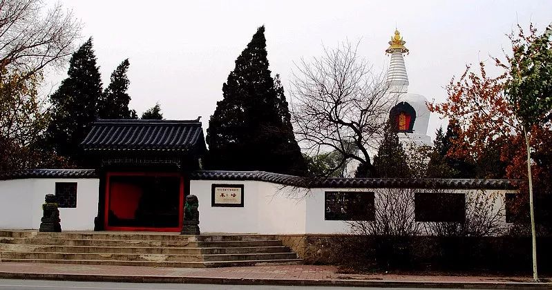 沈阳是哪个省的？已传疯，沈阳人都顶起！