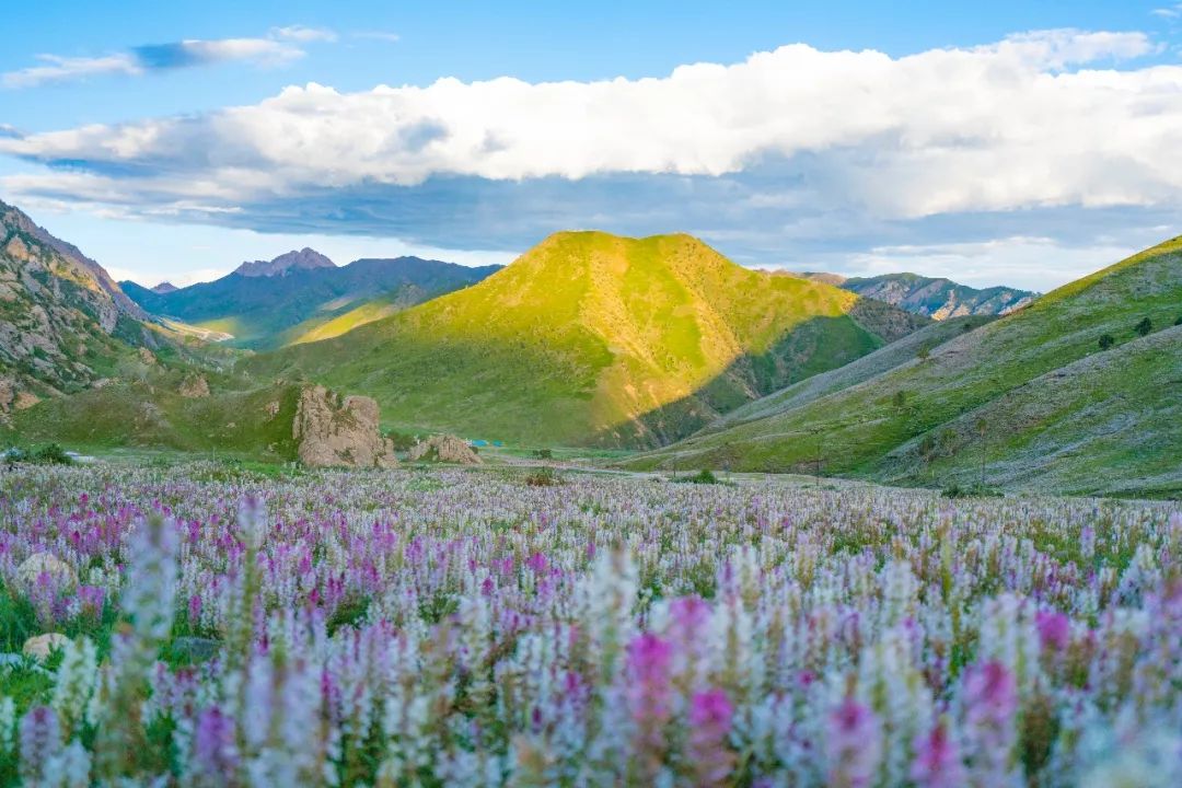 狂野飙车越野,青海穿越美景