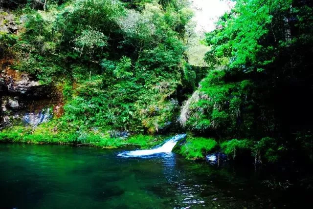 安徽景区免票最新政策九华山,安徽九华山景点半价