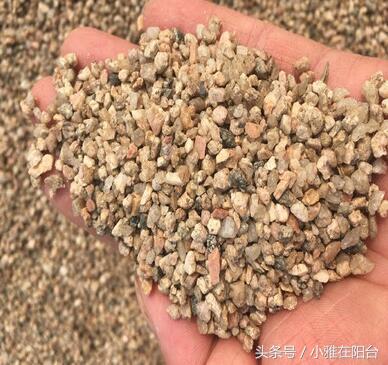 养花技巧盆土保持湿润法,养花盆土干了怎么办