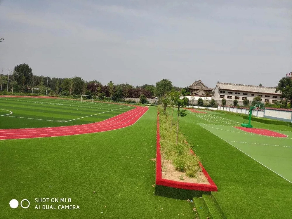 西咸新区以后的教育规划,西咸新区新增学校有哪些