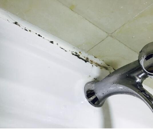 卫生间玻璃胶发霉发黑清洁小妙招,卫生间防止发霉的玻璃胶