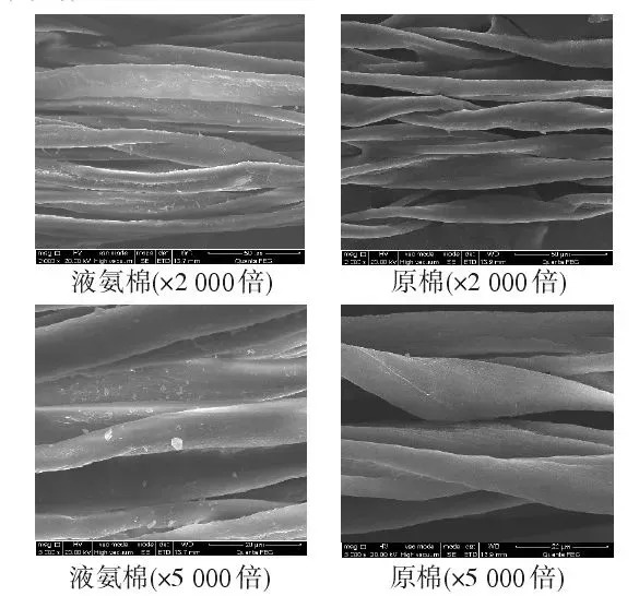 珍珠棉和玻璃纤维棉的区别,丝光棉是天然棉吗