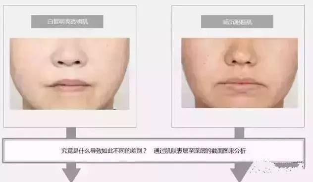 pola现在还能买吗,pola各个系列的区别