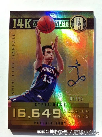 篮球控球后卫纳什,世界上球感最好的球员