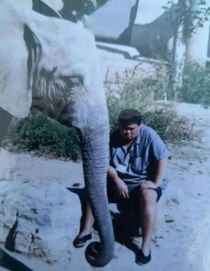 盘点网络中的搞笑段子笑死人系列,盘点那些爆笑网络的段子