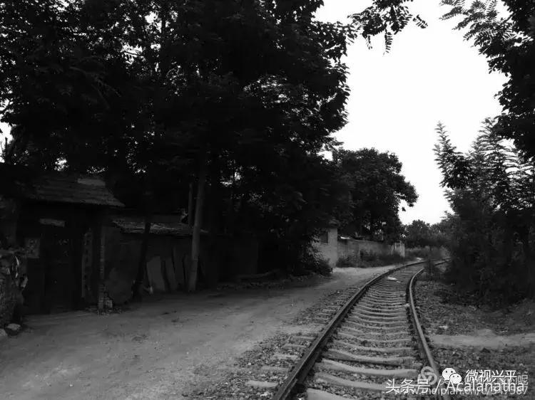 兴平：我的故乡我的云一一70后纤维厂纪事