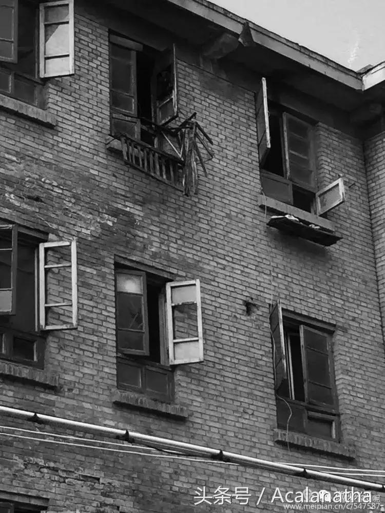 兴平：我的故乡我的云一一70后纤维厂纪事