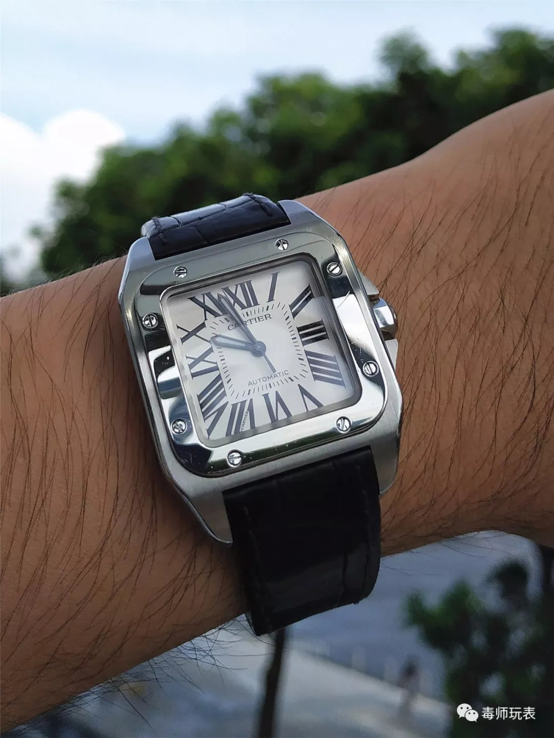 卡地亚山度士反面螺丝,卡地亚山度士介绍