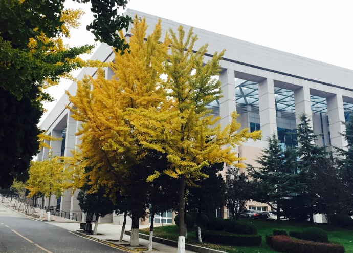大连工业大学,初秋回响
