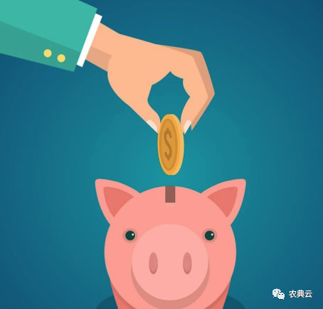 合同猪还有养的前途吗,合同猪的优缺点