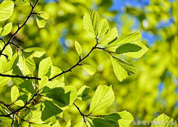 用色彩和光线拍出来的摄影作品,大色块高饱和度摄影什么风格