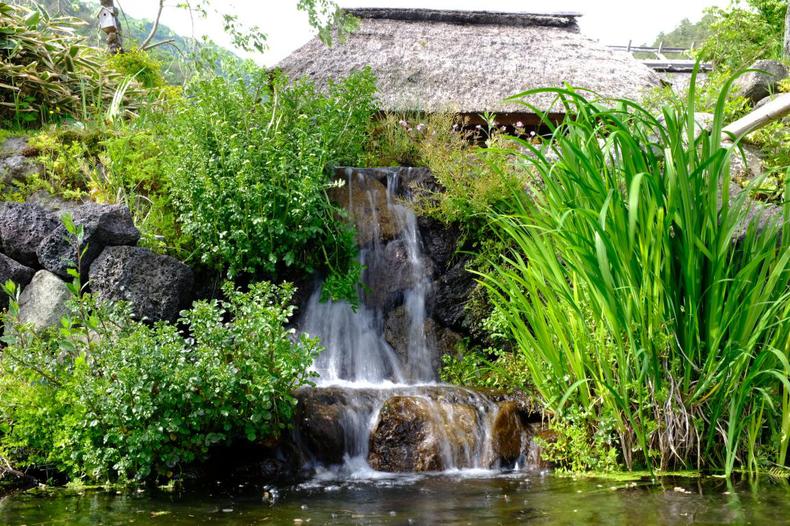 一个自称高达迷的媳妇迷拎包客的日本蜜月之行，幸福满满~