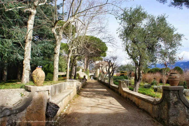 神奇女侠天堂岛卡洛斯,神奇女侠天堂岛有什么