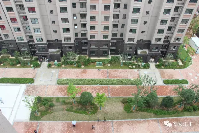 力标、中交、亚泰！江北这些房子一个比一个难买！刚需哭了