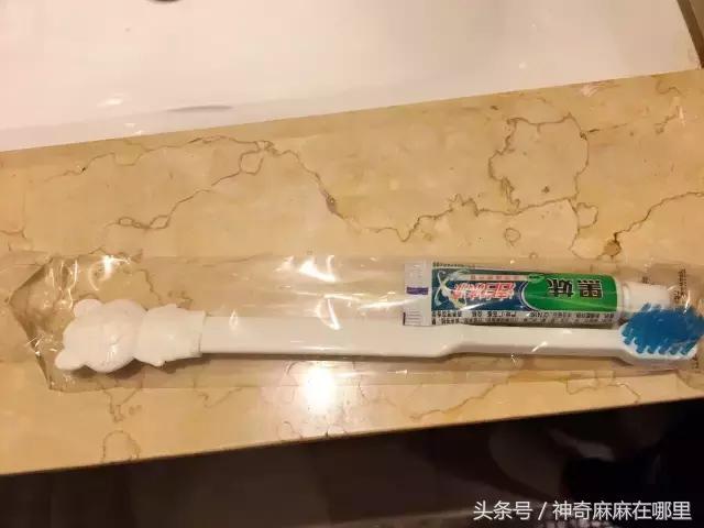 珠海长隆旅游攻略3天自由行,亲子游珠海长隆一日游攻略