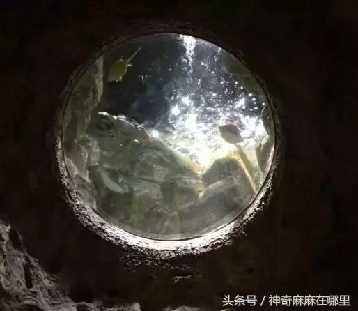 珠海长隆旅游攻略3天自由行,亲子游珠海长隆一日游攻略