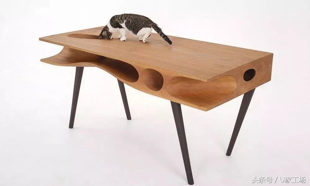 便宜又好用的猫窝有哪些,这六种猫窝你一定买过