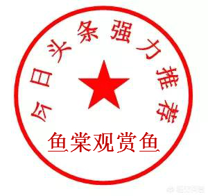 如何开始养珊瑚,新手养珊瑚方法