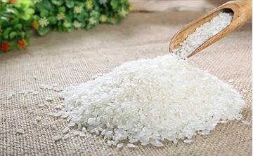 下雨天鞋子湿了教你一招轻松解决,雨天鞋子湿了怎么补救