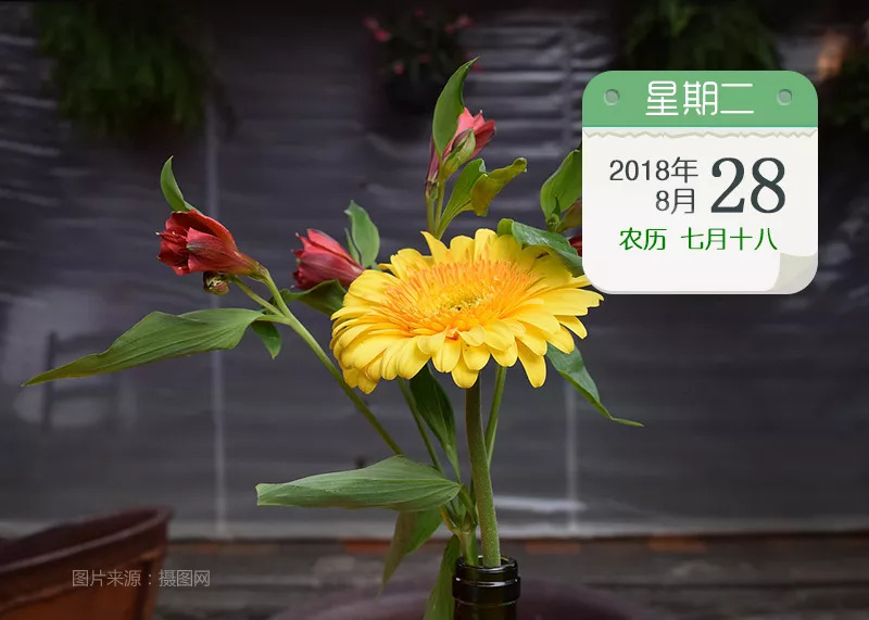 瀹濋浮鏂伴椈鍦ㄧ嚎瑙傜湅,瀹濋浮鏂伴椈鑸ぉ