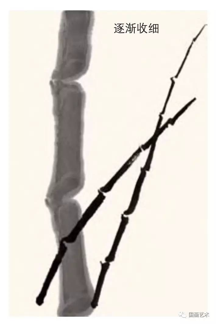 名家画竹子的技法,名家画竹子的简单画法