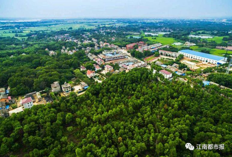 江西上饶入选百强市,上饶市国家级试点名单