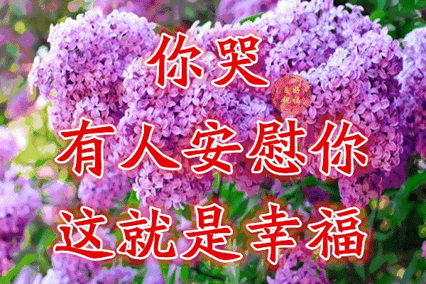 美好人生幸福相册,幸福人生的相册