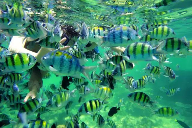 东南亚性价比最高的景点,东南亚好看风景