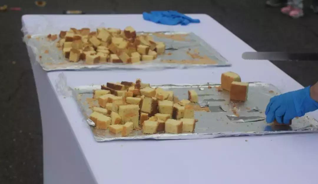 跑出个人最差成绩痛诉哈马“两宗罪”