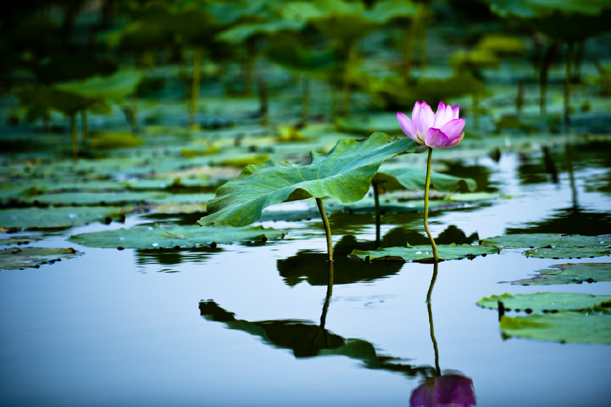50道趣味测试题答案,100道国学常识题全部答对是鬼才
