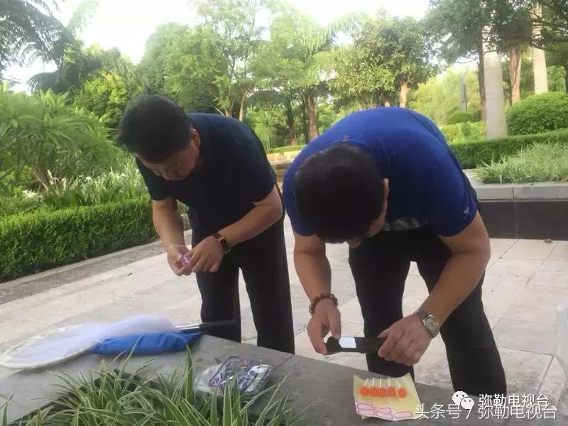 弥勒蚊虫消杀,弥勒病媒消杀