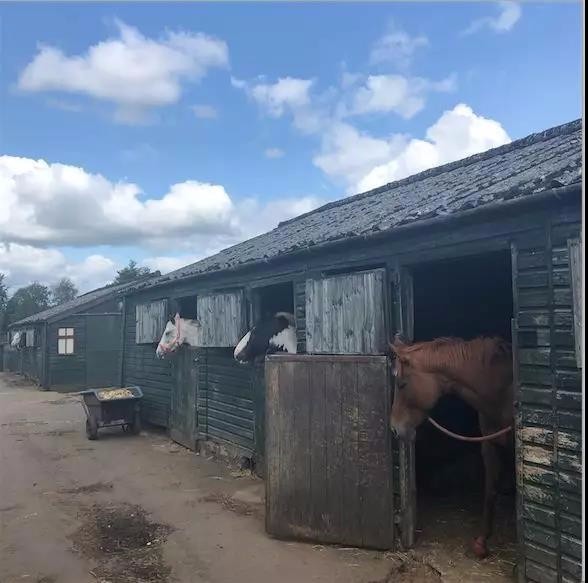 我到乌托邦鼻祖欧文的地盘上转了下，和英国人聊了聊