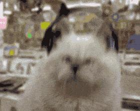 断网可用的扫描app,断网app推荐