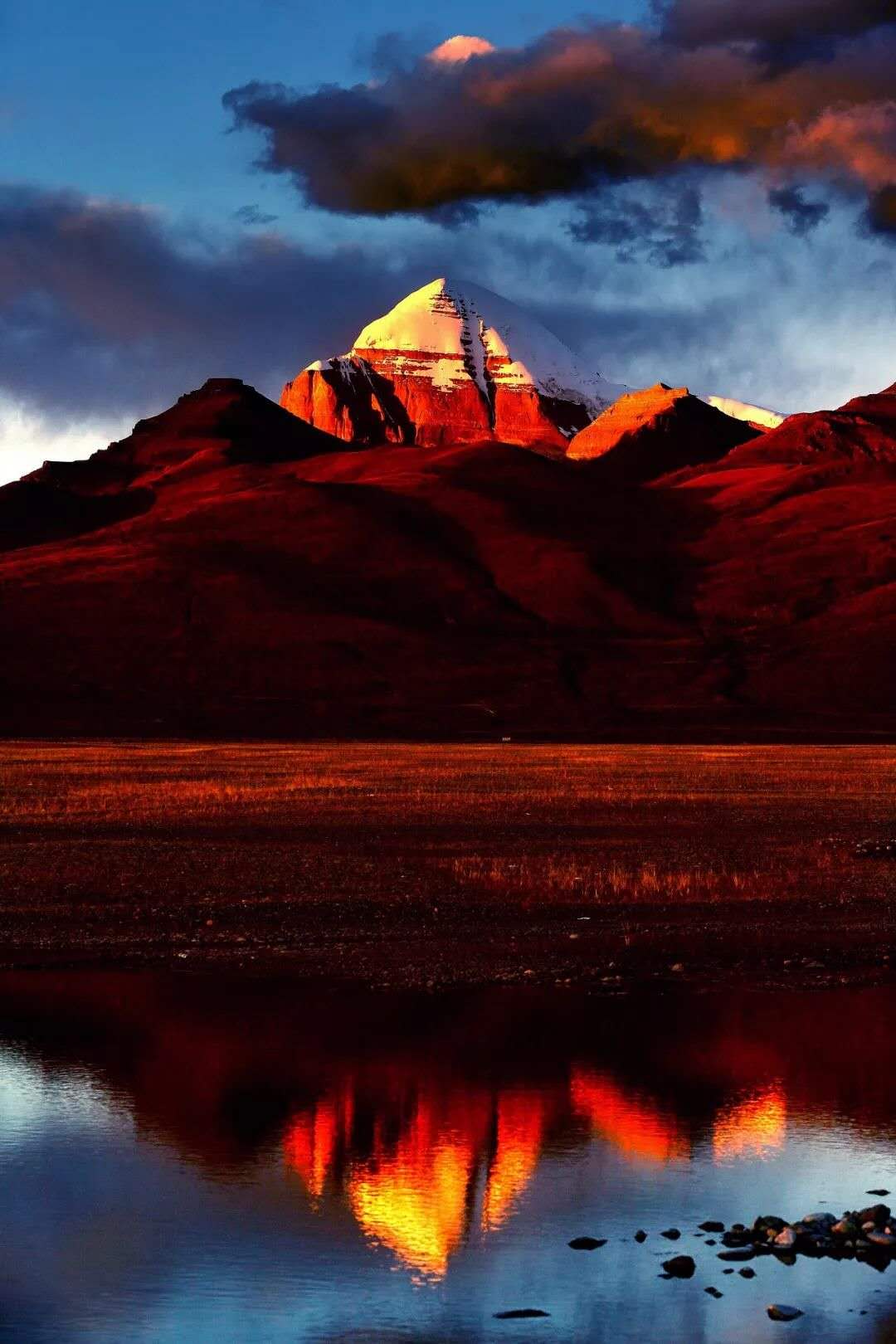 阿里在哪里申请开通合作快递,阿里在哪里的