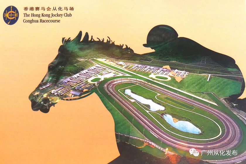 wow马术,香港赛马会从化马场