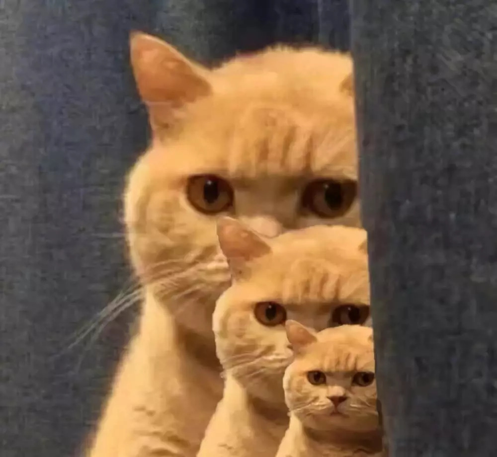 每个人肚子里都有寄生虫，该怎么处理？这篇文章能给你排忧解难