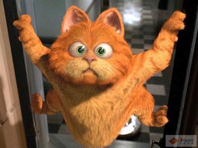 世界上最可爱的小熊电影,电影中的可爱的小熊