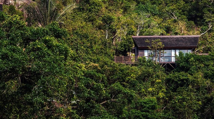 三亚鸟巢森林树屋酒店视频,三亚鸟巢度假村酒店攻略