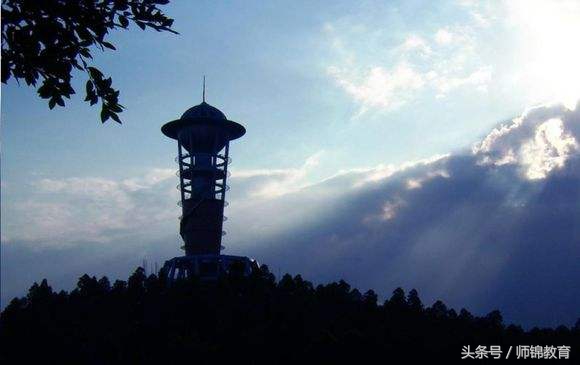 哪几所专科院校毕业不愁就业,就业率最高的专科大学排名