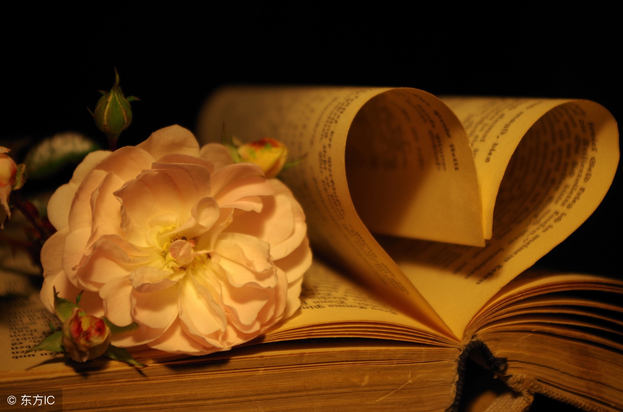 书，不是印度神油可以延时增大，它更像一扇门，透过这个门……