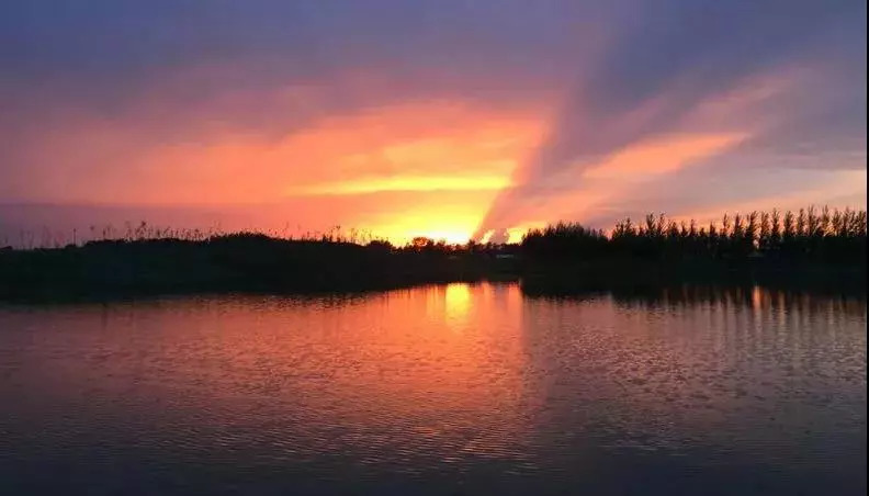 家有美景来欣赏何必外出看风景,家有美景何必远方