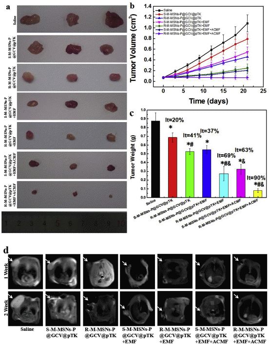 肝癌免疫治疗及基因治疗进展,肝癌基因检测靶向治疗