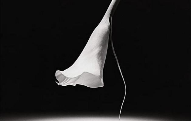 我该如何面对抑郁症的老公,怎么才能知道老公是否有心理问题