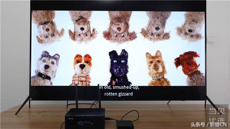 星网视易k歌设备,星网视易w10报价