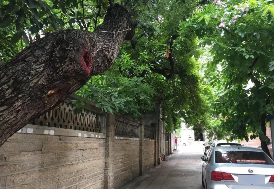 光阴里的老北京书,光阴里的老北京阅读