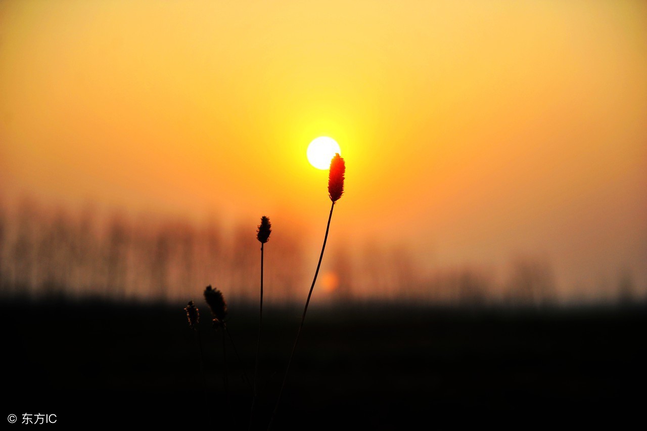 微博Qzone微信梦见这些说明你的业障消除了!