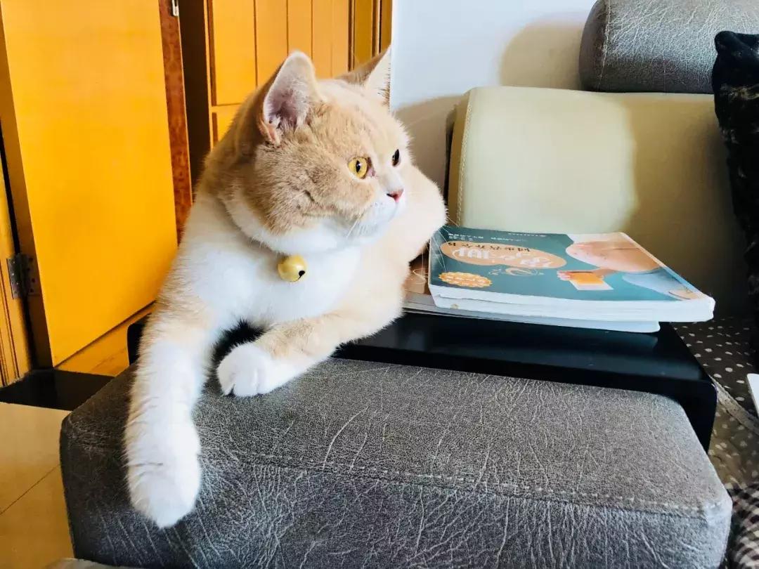 好物推荐祛痘去黑头,去毛孔粉刺黑头的护肤品推荐