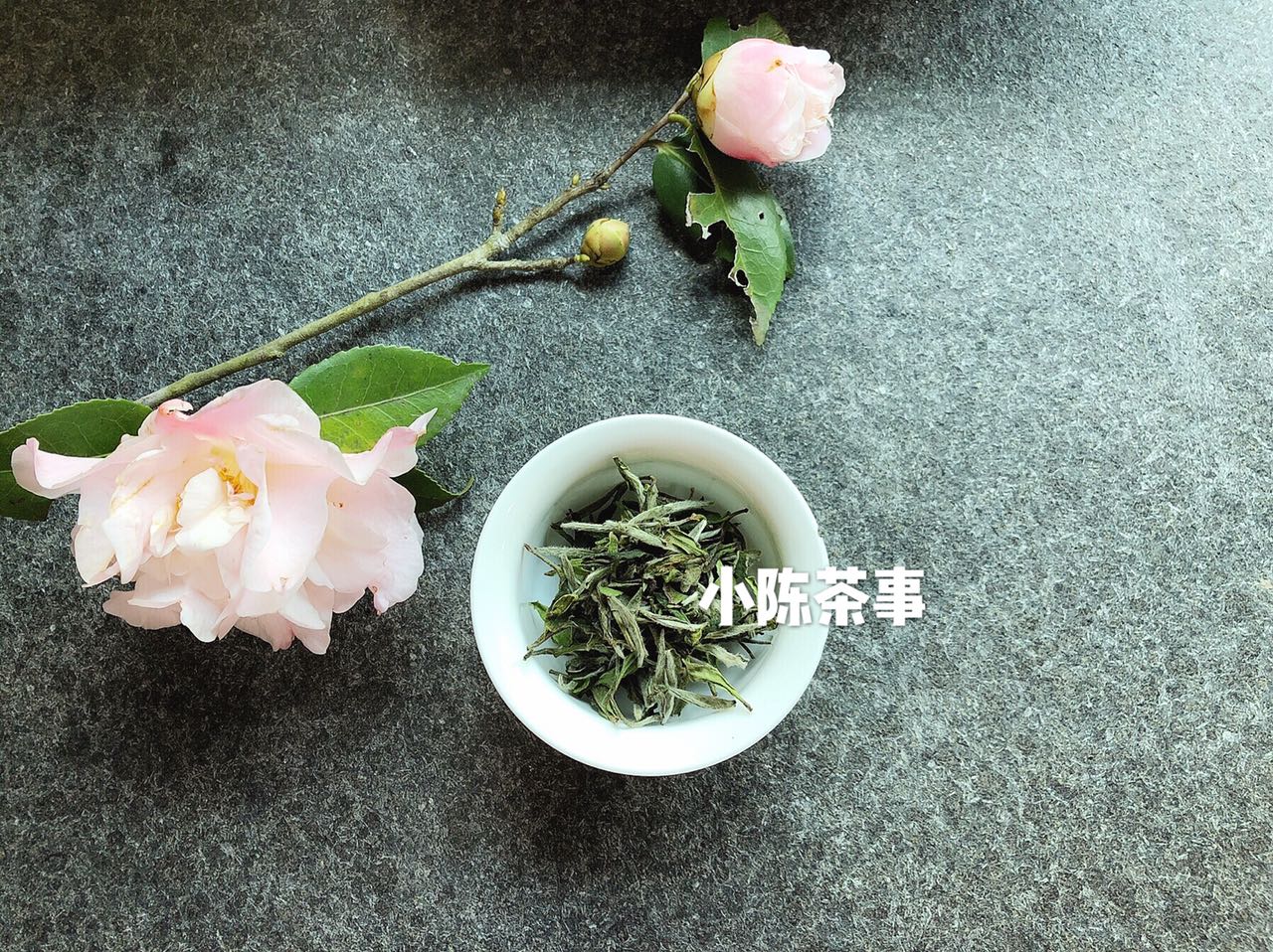 天目山白茶是白茶还是绿茶,白茶属于绿茶吗喝白茶的好处