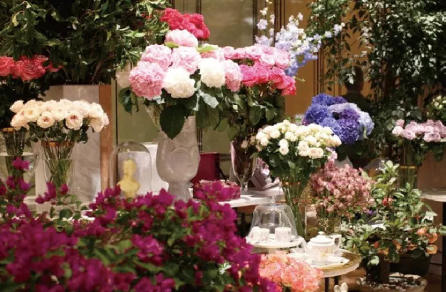 生日优惠攻略可省下一大笔钱,过生日省钱又划算的攻略